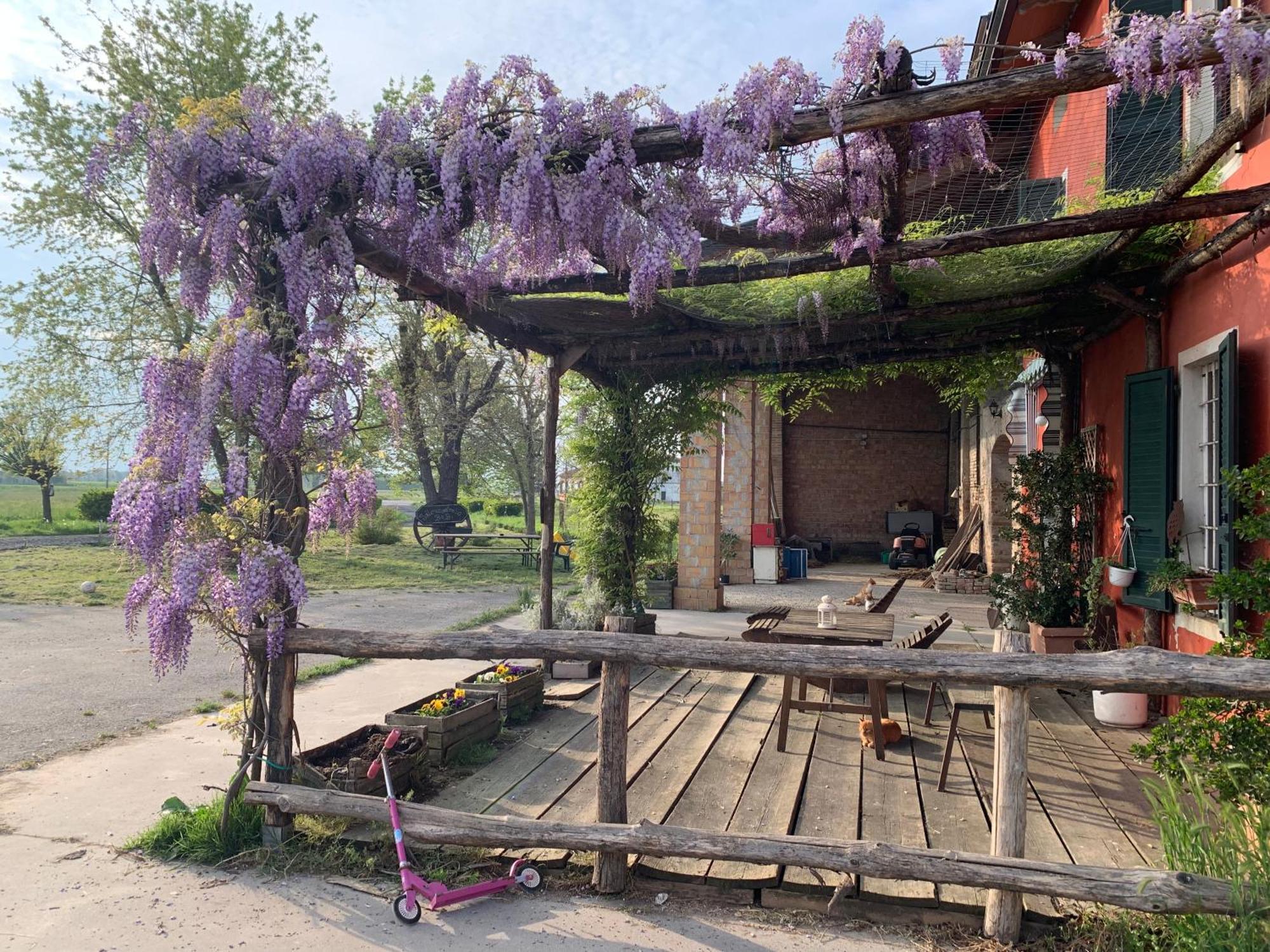 Santa Caterina Fattoria Amelia别墅 外观 照片
