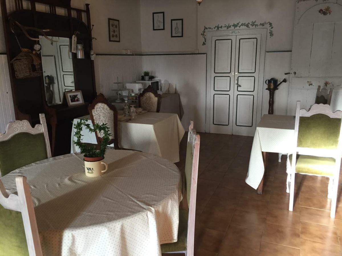 Santa Caterina Fattoria Amelia别墅 外观 照片